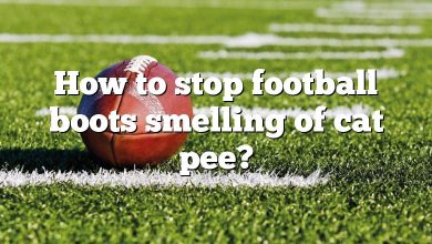 How to stop football boots smelling of cat pee?