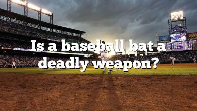 Is a baseball bat a deadly weapon?