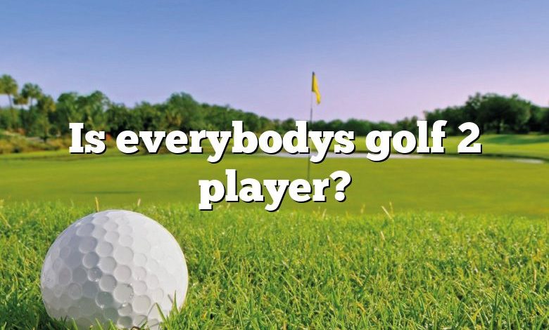 Is everybodys golf 2 player?