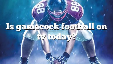 Is gamecock football on tv today?