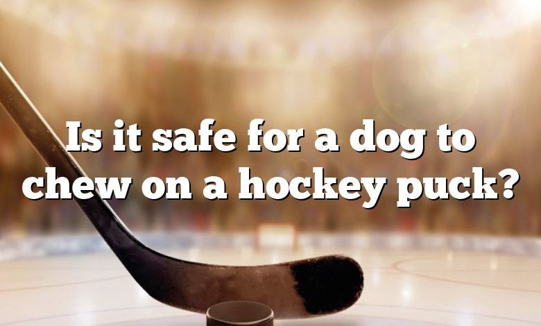 Is it safe for a dog to chew on a hockey puck?