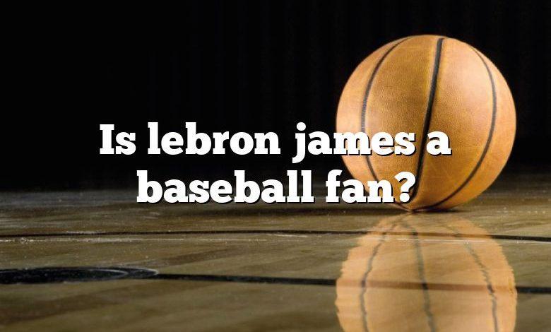 Is lebron james a baseball fan?