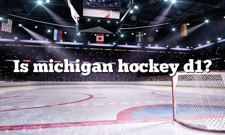 Is michigan hockey d1?