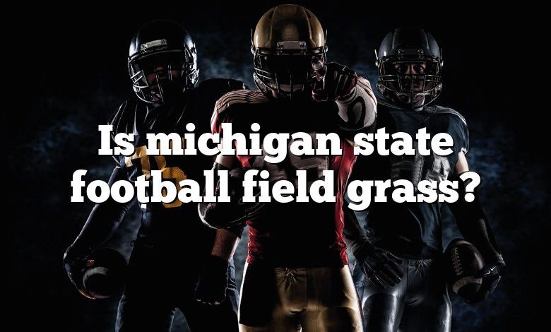 Is michigan state football field grass?