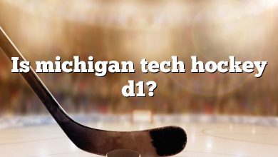 Is michigan tech hockey d1?