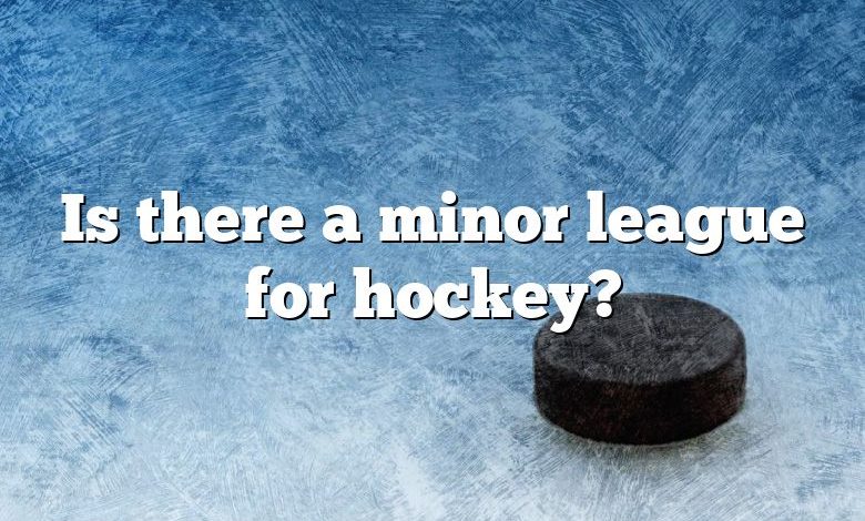 Is there a minor league for hockey?