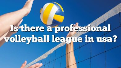Is there a professional volleyball league in usa?