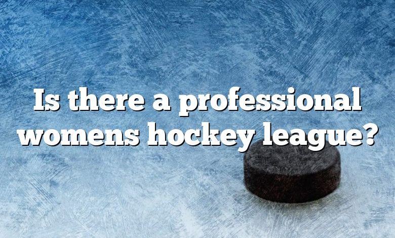 Is there a professional womens hockey league?