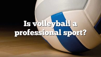 Is volleyball a professional sport?