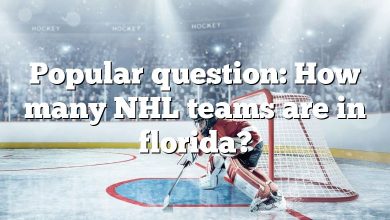 Popular question: How many NHL teams are in florida?