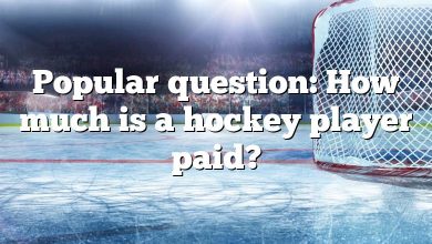 Popular question: How much is a hockey player paid?