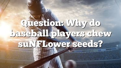 Question: Why do baseball players chew suNFLower seeds?