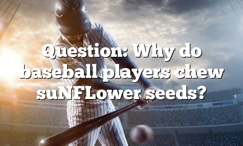 Question: Why do baseball players chew suNFLower seeds?