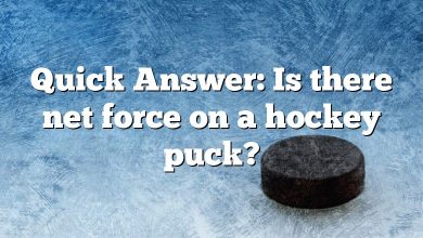 Quick Answer: Is there net force on a hockey puck?