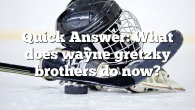 Quick Answer: What does wayne gretzky brothers do now?