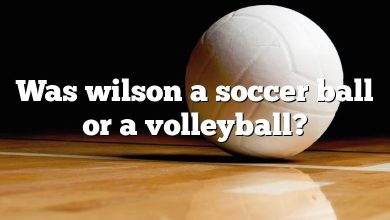 Was wilson a soccer ball or a volleyball?