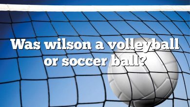 Was wilson a volleyball or soccer ball?