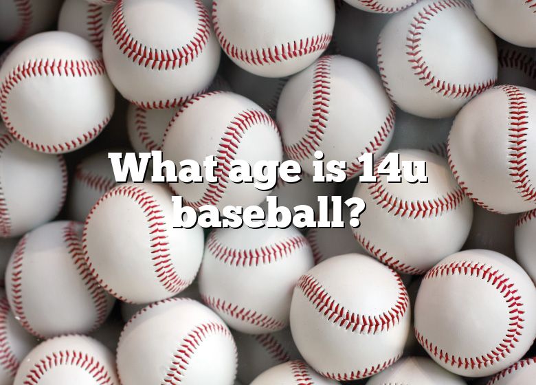 what-age-is-14u-baseball-dna-of-sports