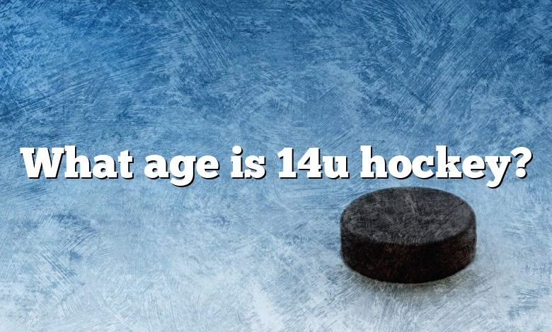 What age is 14u hockey?