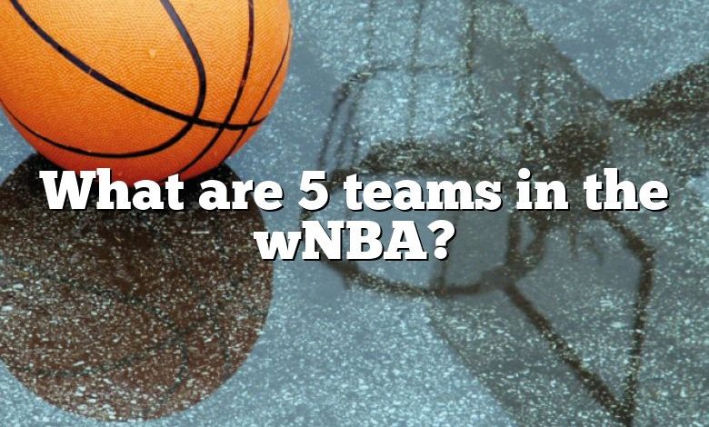 What are 5 teams in the wNBA?