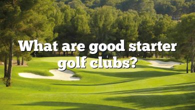 What are good starter golf clubs?