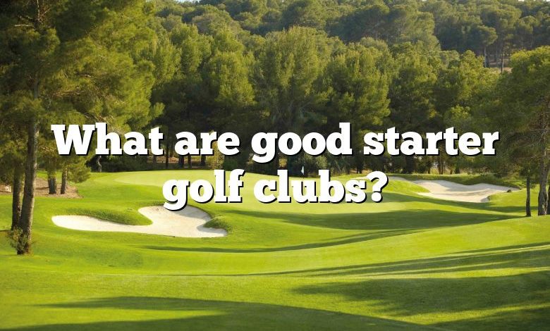 What are good starter golf clubs?