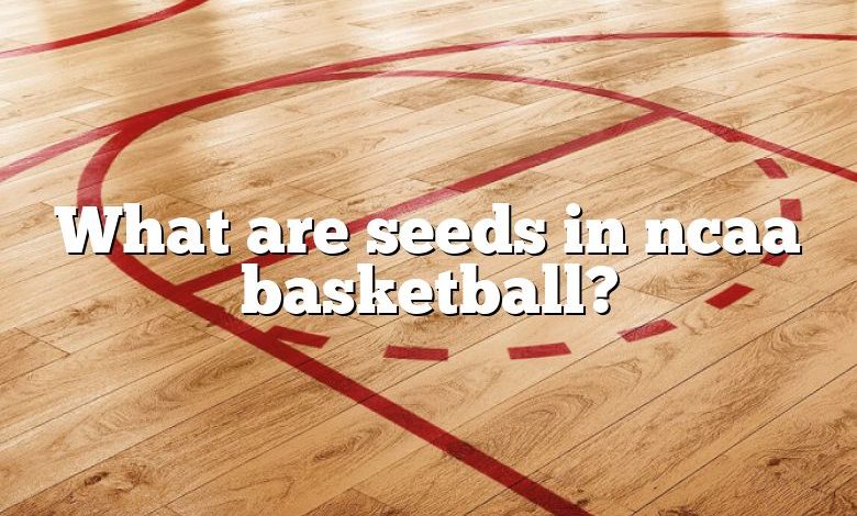 What are seeds in ncaa basketball?