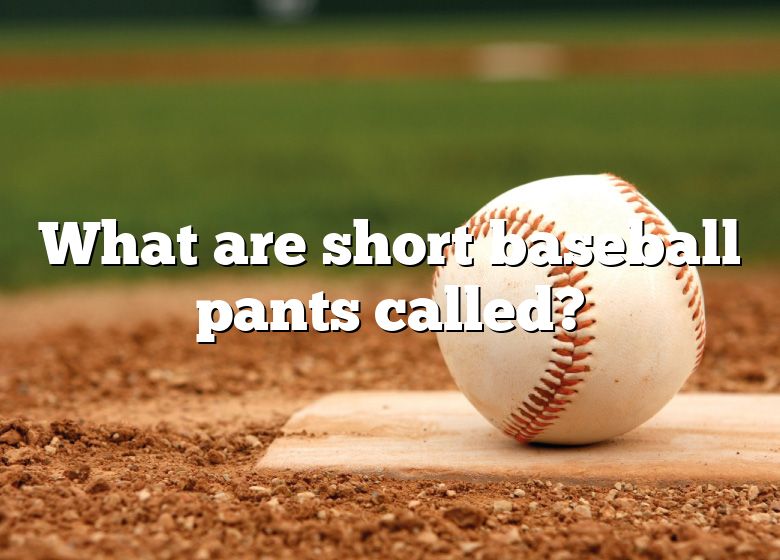 what-are-short-baseball-pants-called-dna-of-sports