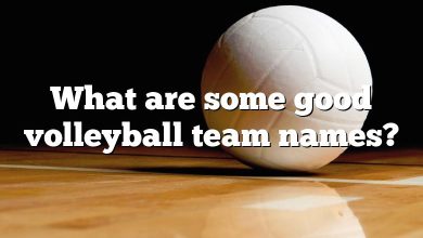 What are some good volleyball team names?