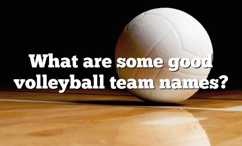 What are some good volleyball team names?