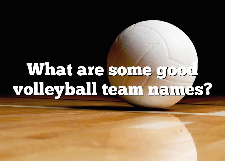 what-are-some-good-volleyball-team-names-dna-of-sports