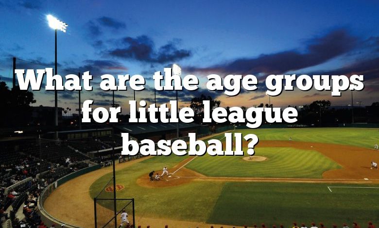 What are the age groups for little league baseball?