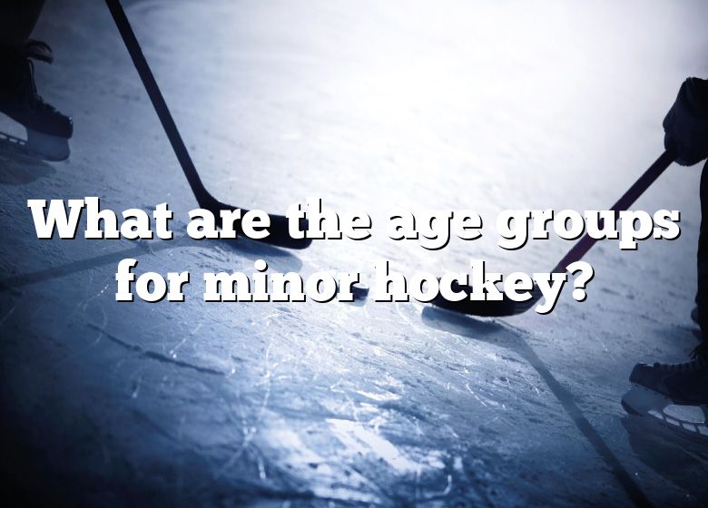 what-are-the-age-groups-for-minor-hockey-dna-of-sports