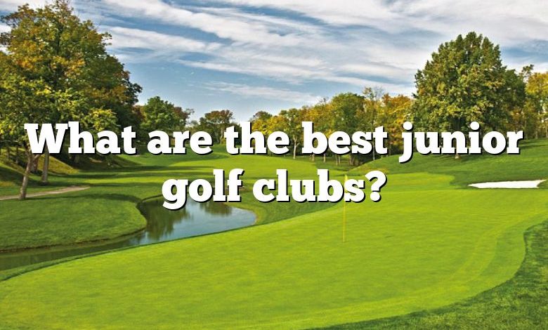 What are the best junior golf clubs?