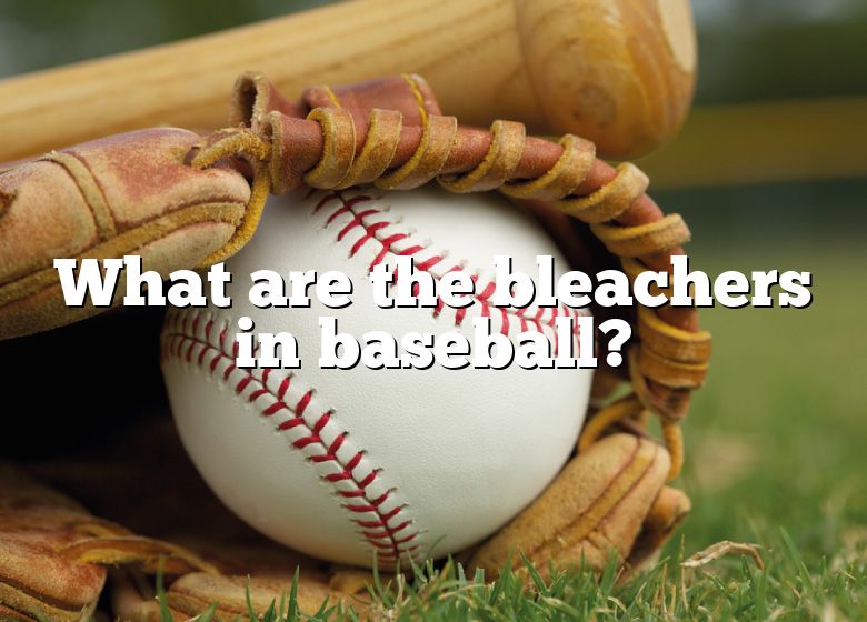 what-are-the-bleachers-in-baseball-dna-of-sports