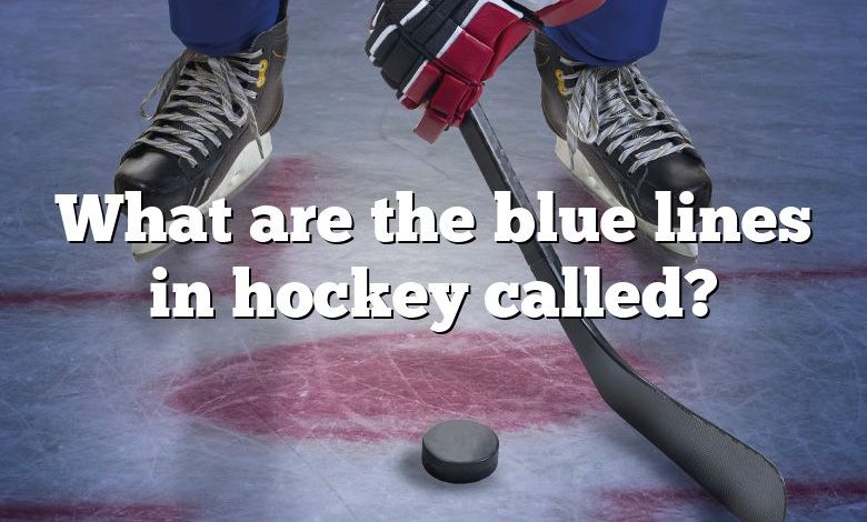 What are the blue lines in hockey called?