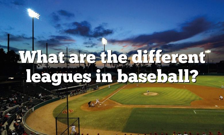 What are the different leagues in baseball?