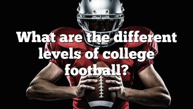 What are the different levels of college football?