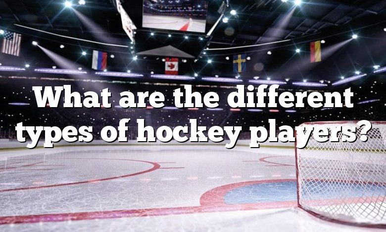 What are the different types of hockey players?