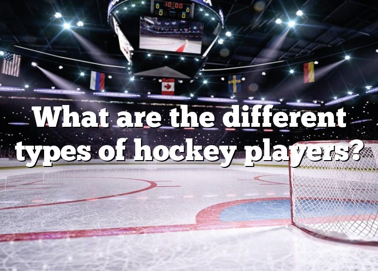 what-are-the-different-types-of-hockey-players-dna-of-sports