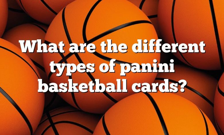 What are the different types of panini basketball cards?