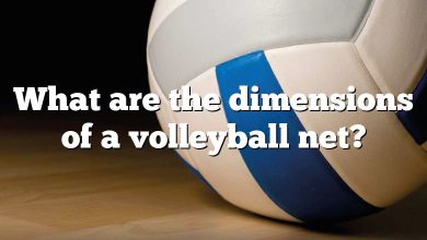 What are the dimensions of a volleyball net?