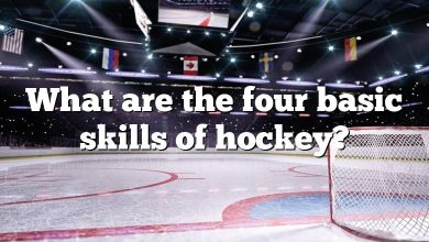 What are the four basic skills of hockey?