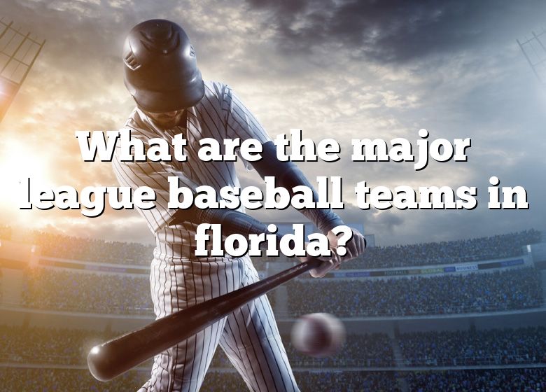 what-are-the-major-league-baseball-teams-in-florida-dna-of-sports