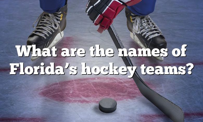 What are the names of Florida’s hockey teams?