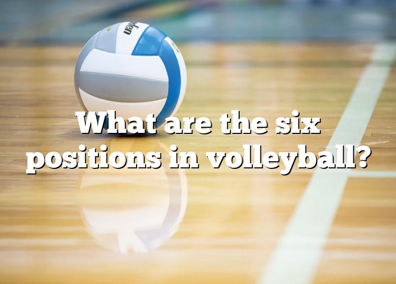 what-are-the-six-positions-in-volleyball-dna-of-sports