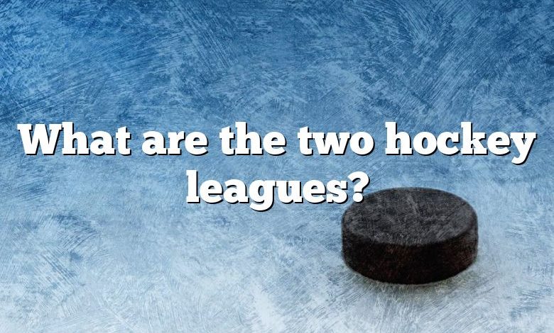 What are the two hockey leagues?