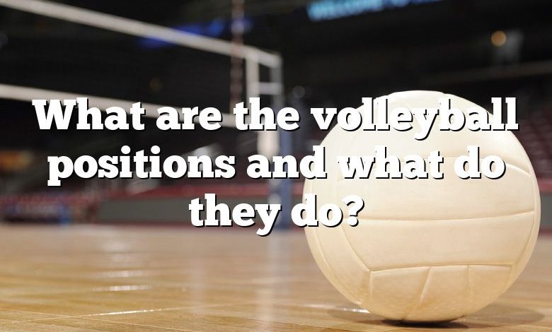 What are the volleyball positions and what do they do?