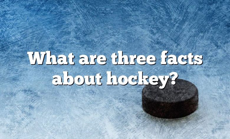 What are three facts about hockey?