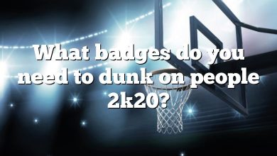 What badges do you need to dunk on people 2k20?